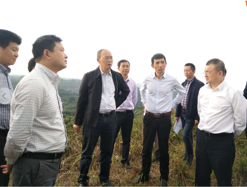 合江县委书记张季頫到白鹿镇考察公墓建设项目