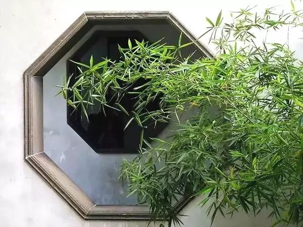 微园林苏州园林花窗千姿百态一窗一景