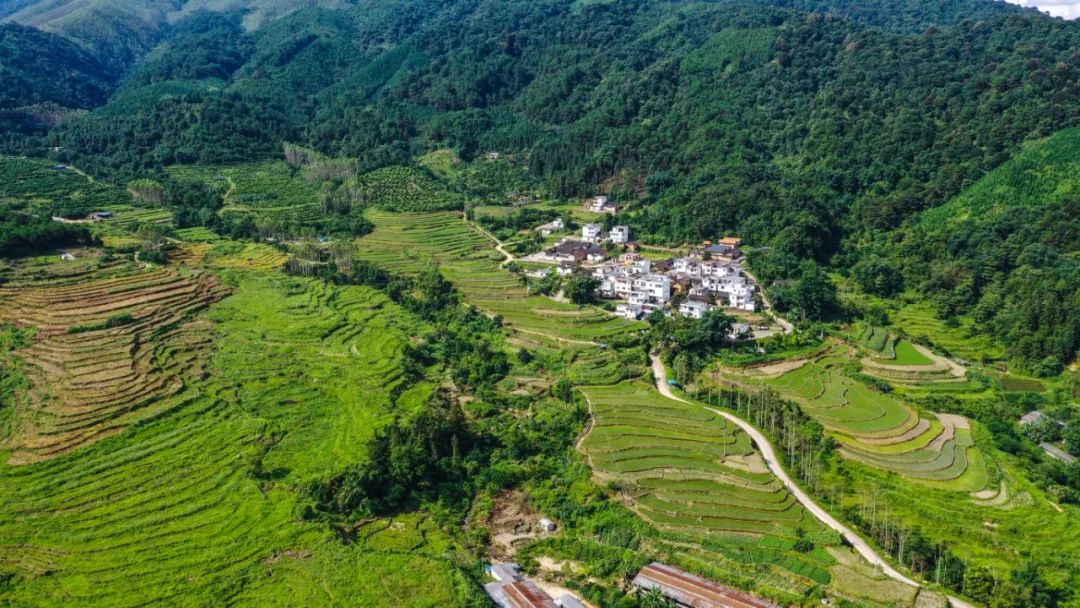 下帅乡公开征集形象标识,宣传口号,原创歌曲!_怀集县