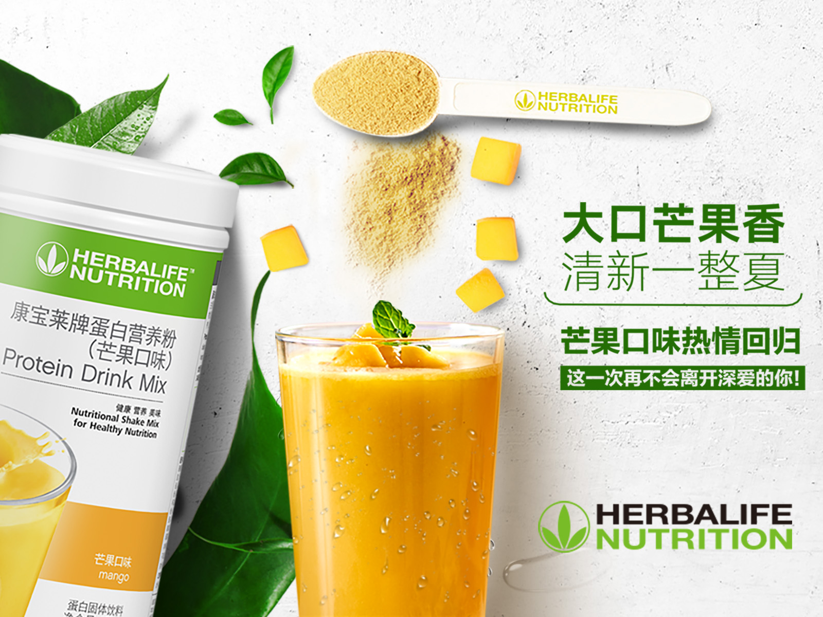 怎么买康宝莱产品流程