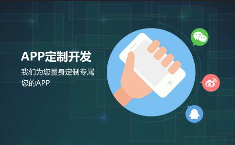 app程序开发公司