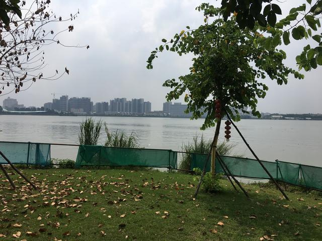 原创16万一平新塘唯一在售地铁江景楼盘东江逸珑湾全新3栋盛启