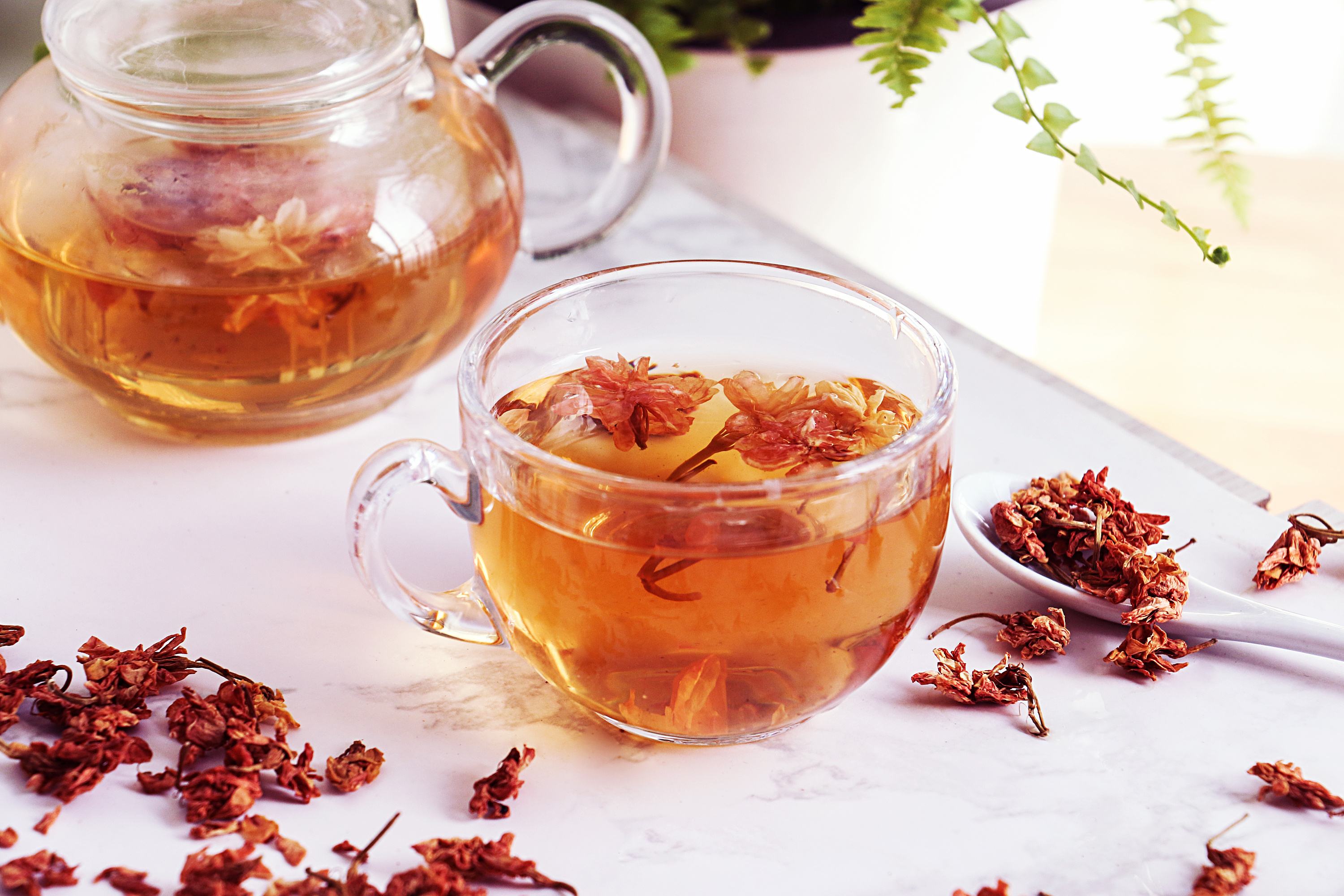 秋季养生茶,不仅能够强身固体还能防止多种秋季病.