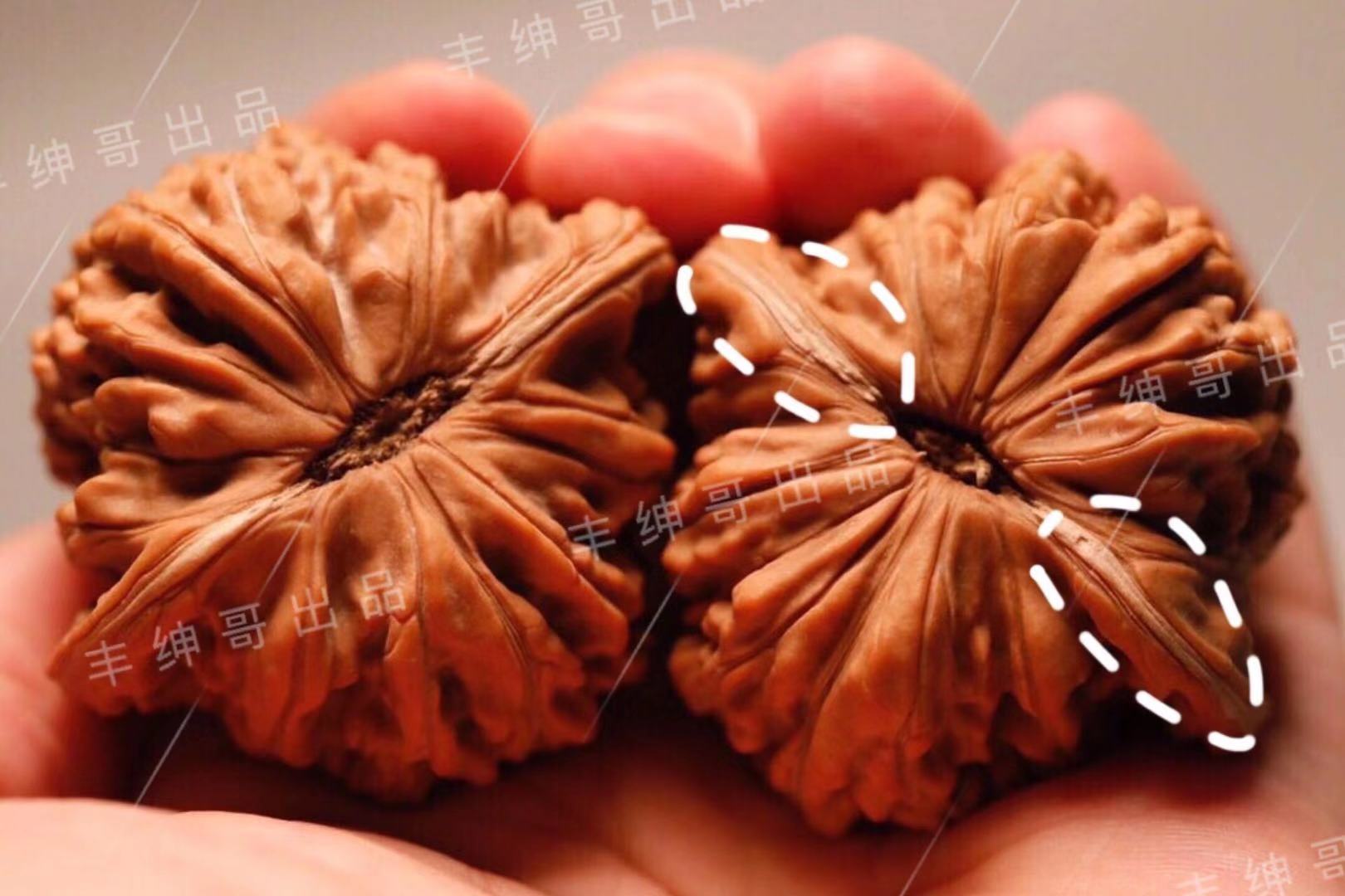 文玩核桃的缝隙虚尖反油修尖黄筋果肉残留是问题么