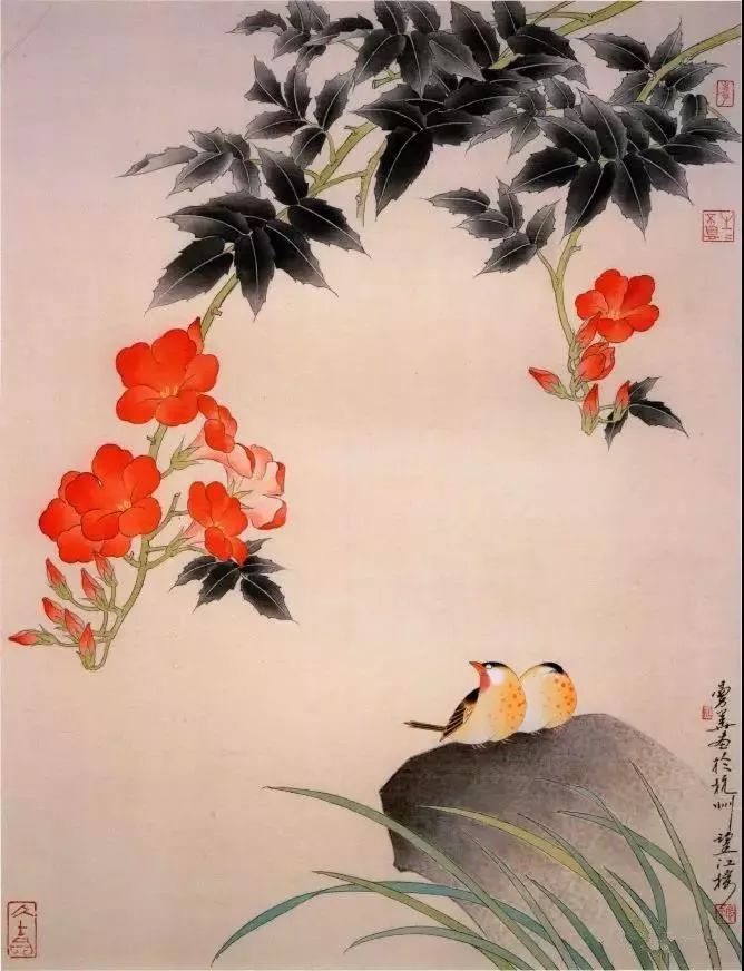 淡雅空灵杜曼华工笔花鸟作品40幅