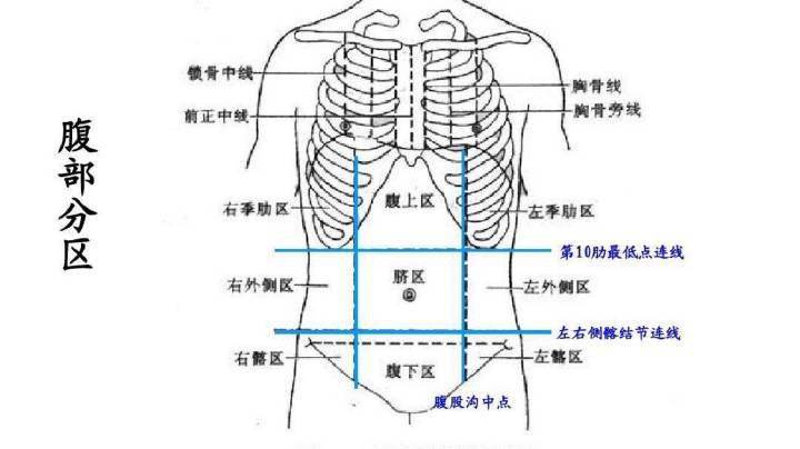 胃疼痛区域图图片
