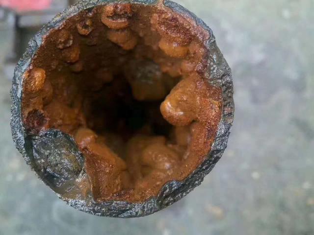 长期食用这样污染的自来水易导致重金属慢性中毒,细菌感染,癌症病变等