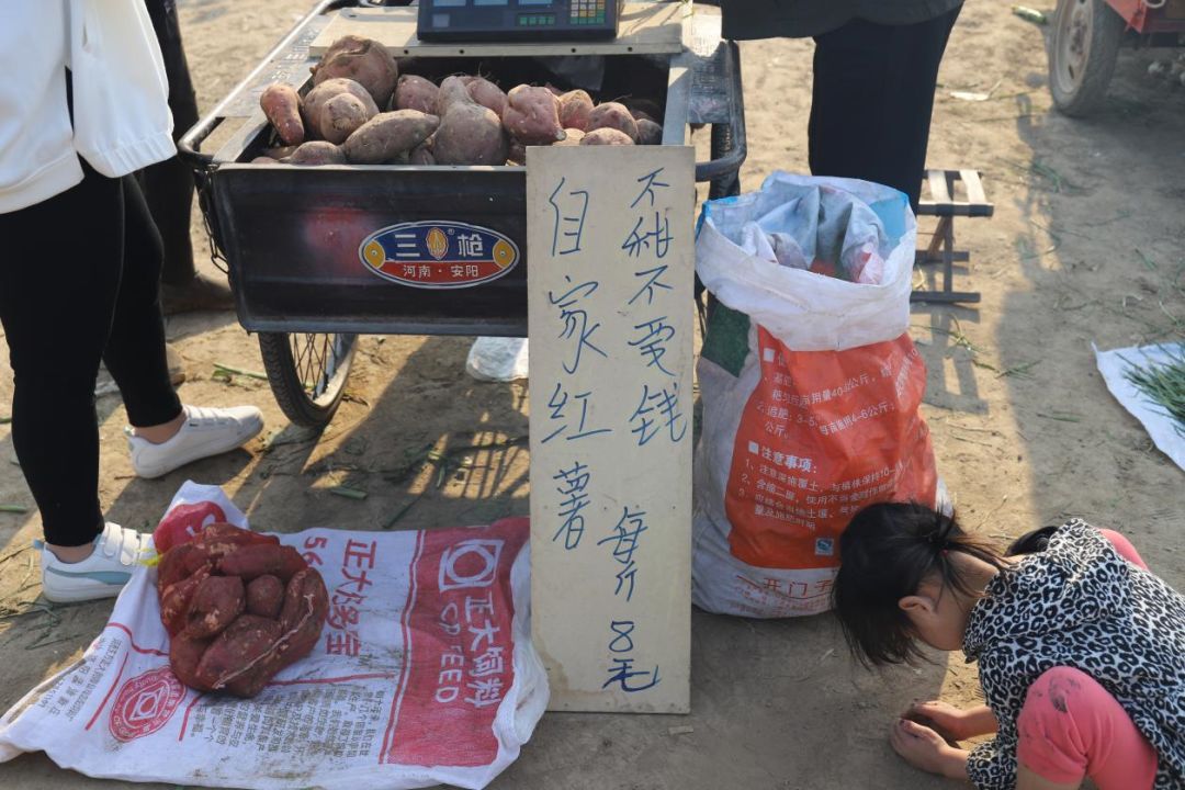 为救9岁哥哥3岁小女孩每天陪奶奶蹬三轮车40里摆摊卖红薯