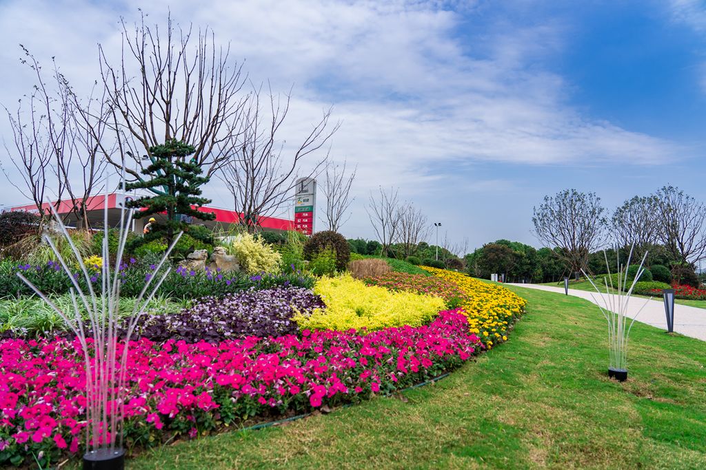 转角遇到"爱",看花桥"绣"出新颜值!