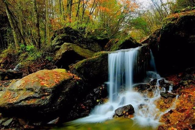 四川发布今年首期红叶指数!旺苍这个地方上榜一级观赏指数_仓山