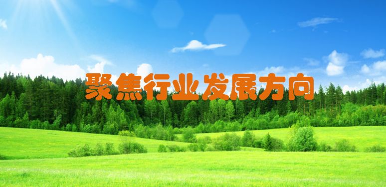 敲黑板全球木材行业制高点看这里