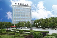 日用百货批发行业的市场动态与趋势分析