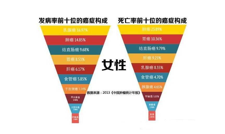 乳腺肿瘤的演变解读