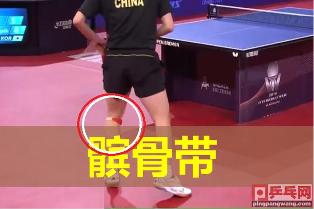德国公开赛许昕带着髌骨带,4比1力克郑荣植,国乒男单会师