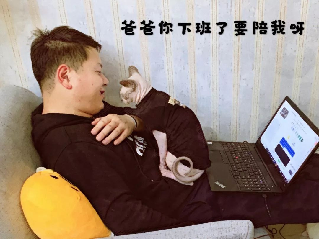 小喵日记爸爸下班啦