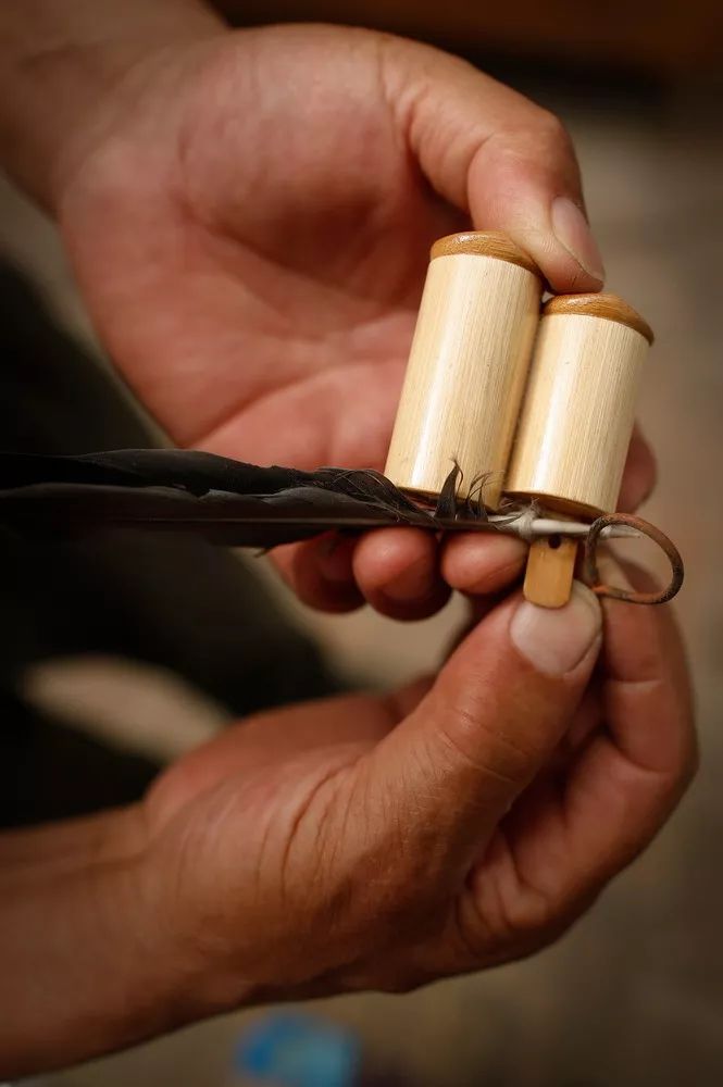 刘航 摄将鸽哨系在鸽子身上,也有讲究.