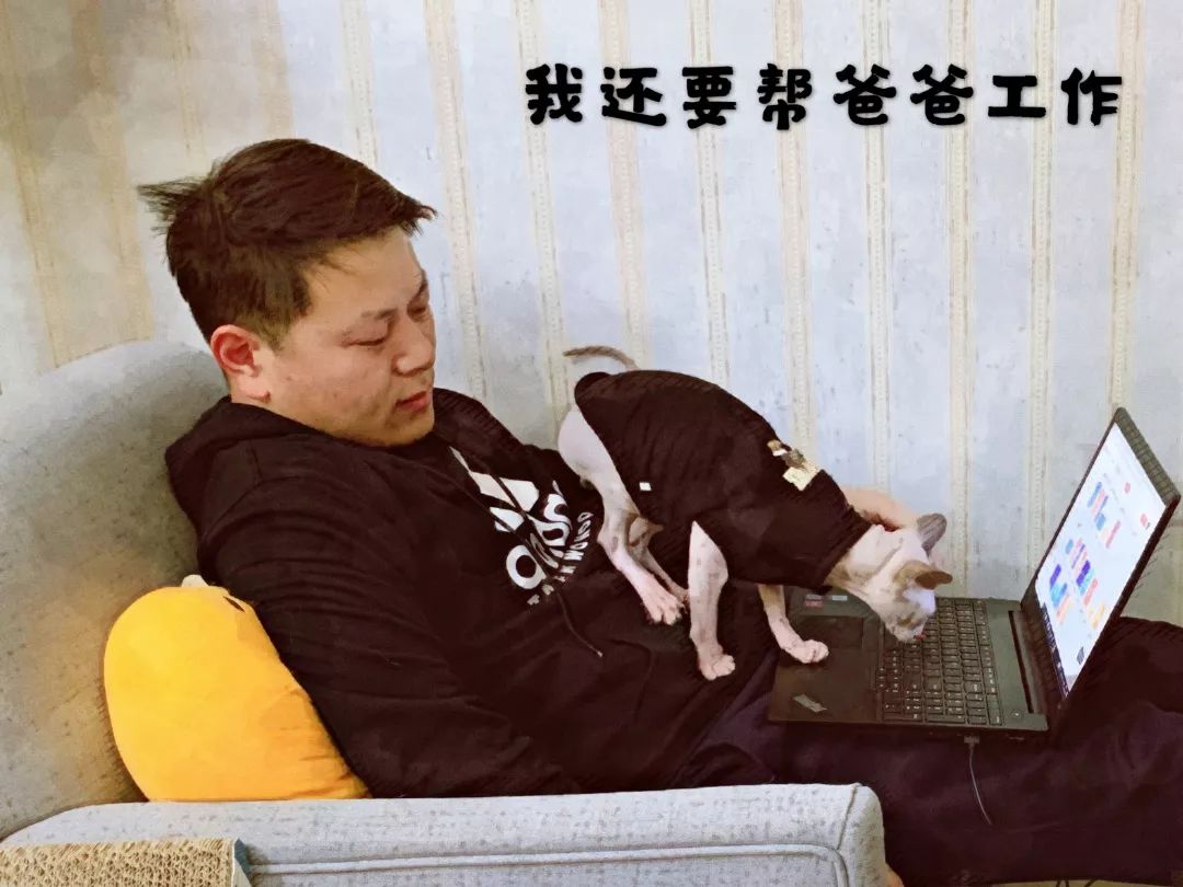 小喵日记爸爸下班啦