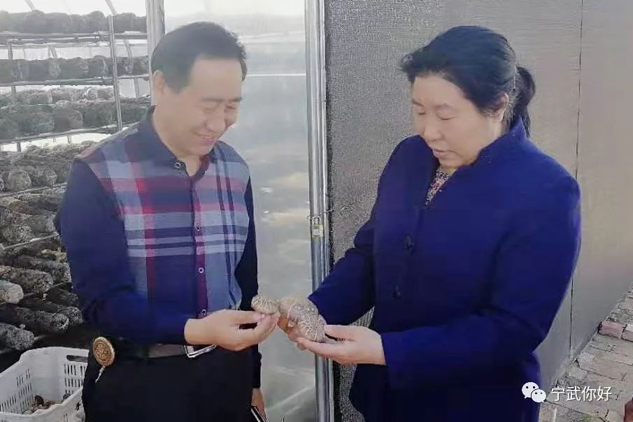 弓凤英在迭台寺乡进行脱贫攻坚专题调研