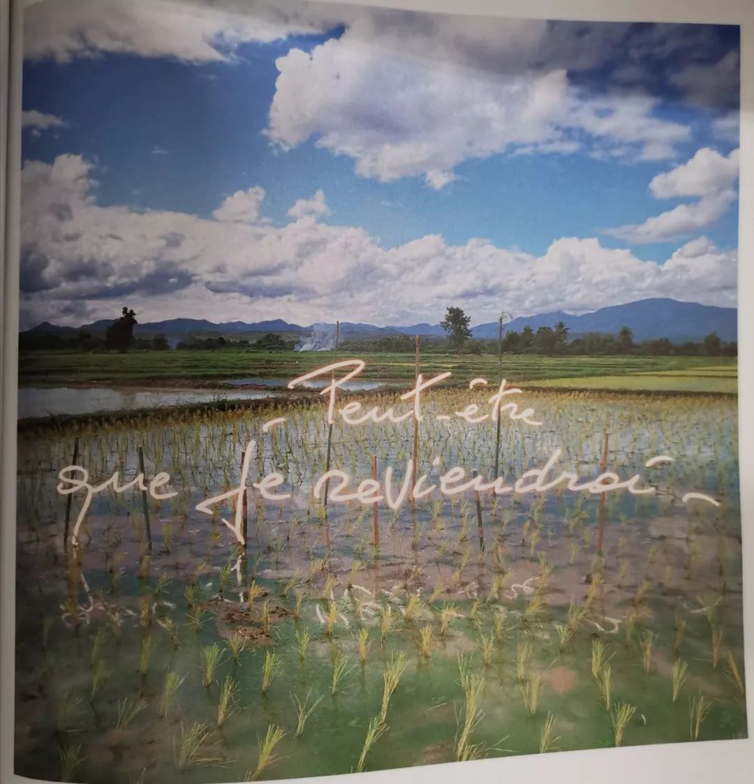 部分贝尔纳弗孔摄影作品欣赏