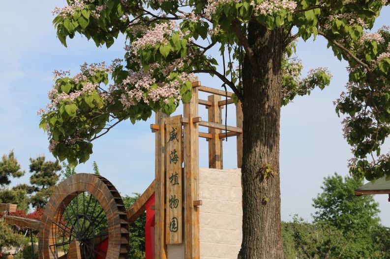 临港区高标准建设威海植物园五项工程凝聚绿色力量