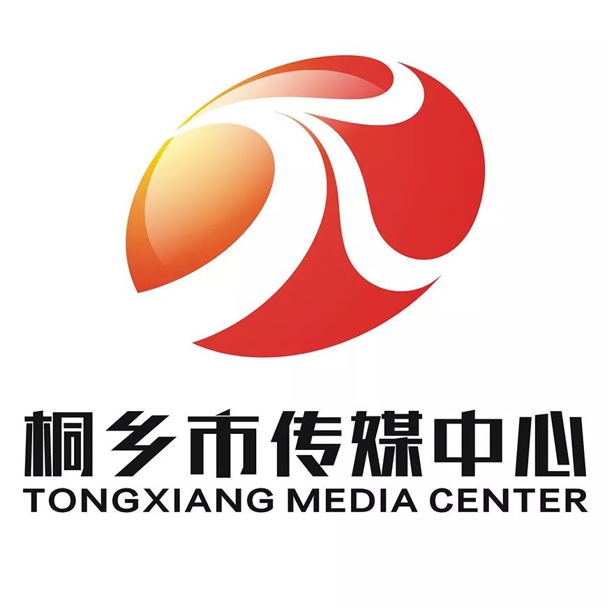 桐乡 网站建设 来自搜狐网