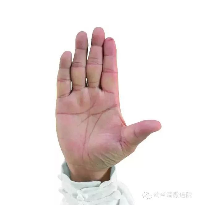 如图(八字掌)基本功教学武当太极拳教程(一)