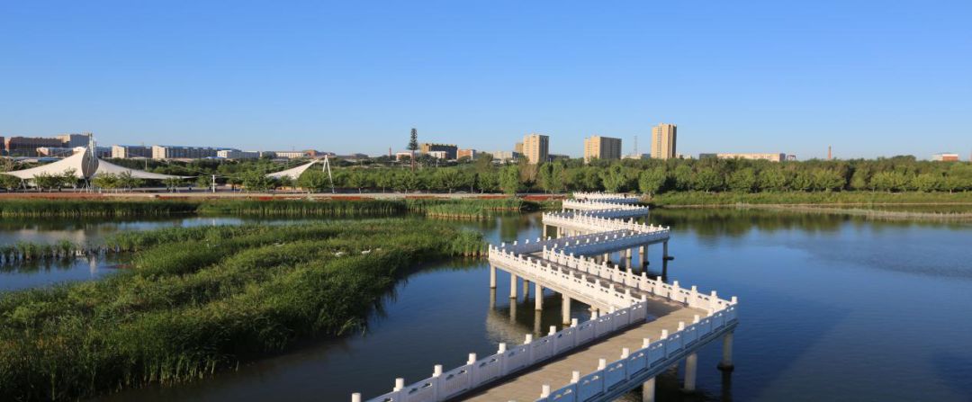 点赞大安吉林省首批省级创新型县市区建设名单公示