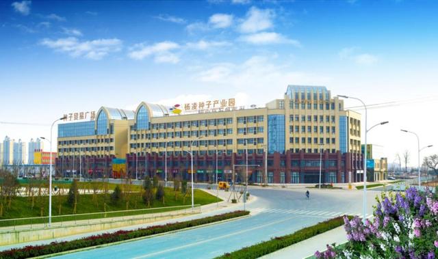 新农人必看来农高会体验智慧农业