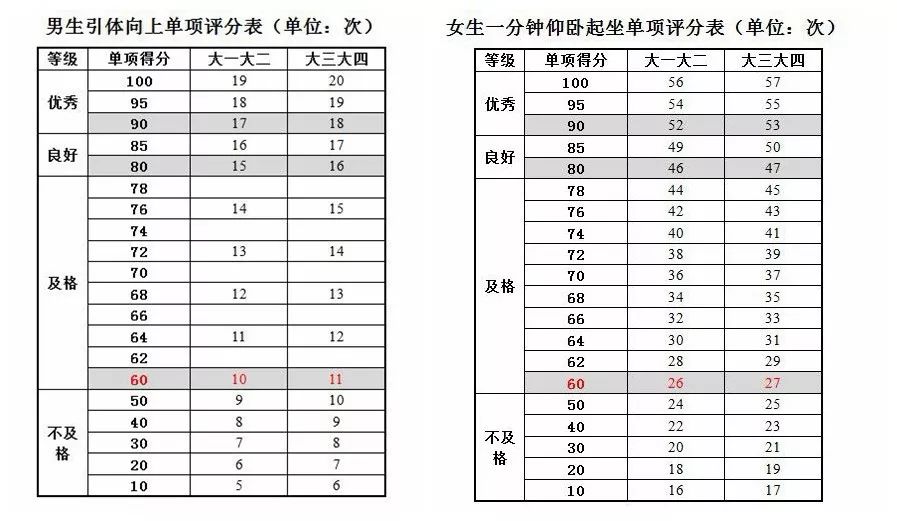 大学生引体向上(男)/1分钟仰卧起坐(女)评分标准
