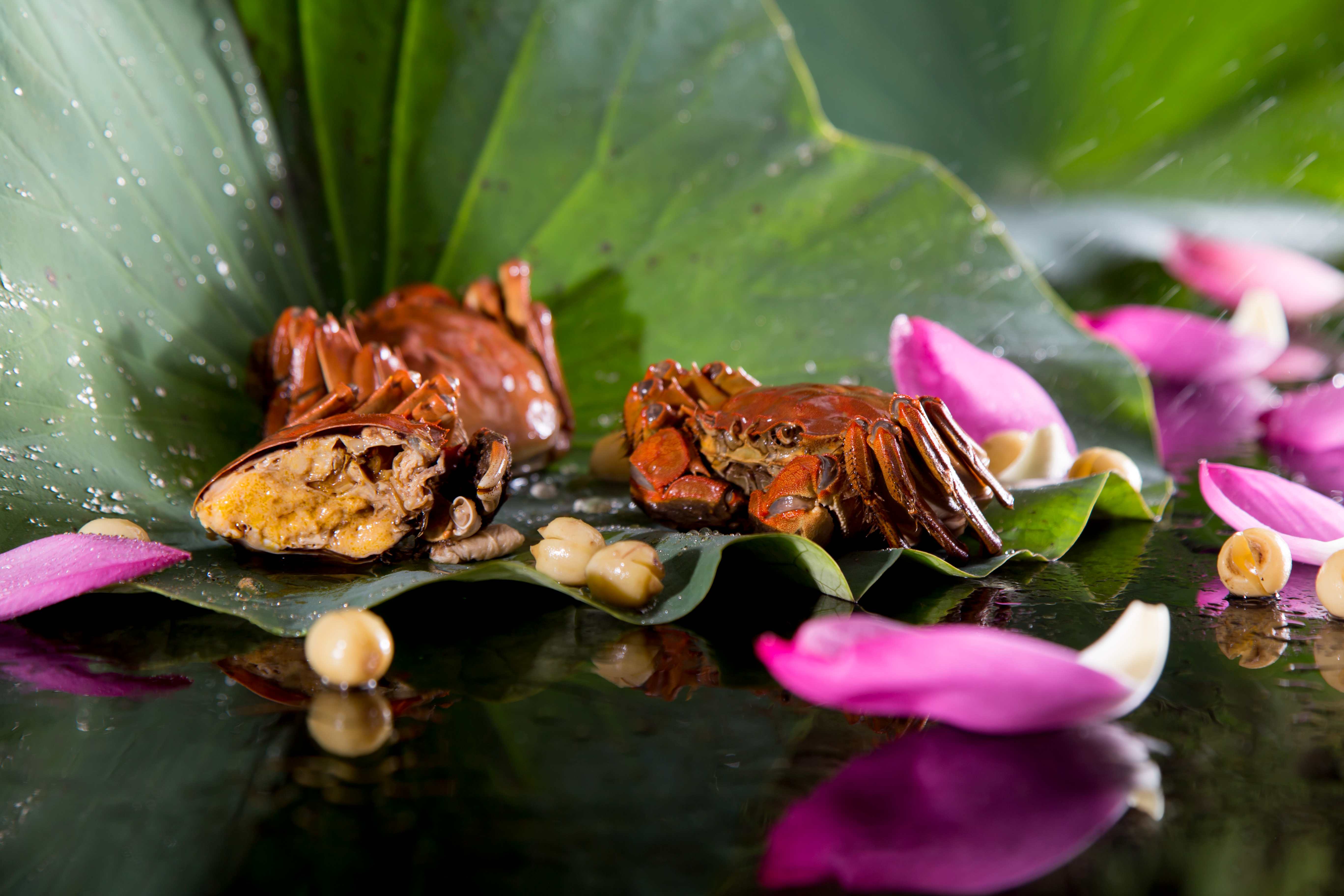 下周又降温多穿件衣服在家门口吃蟹吧