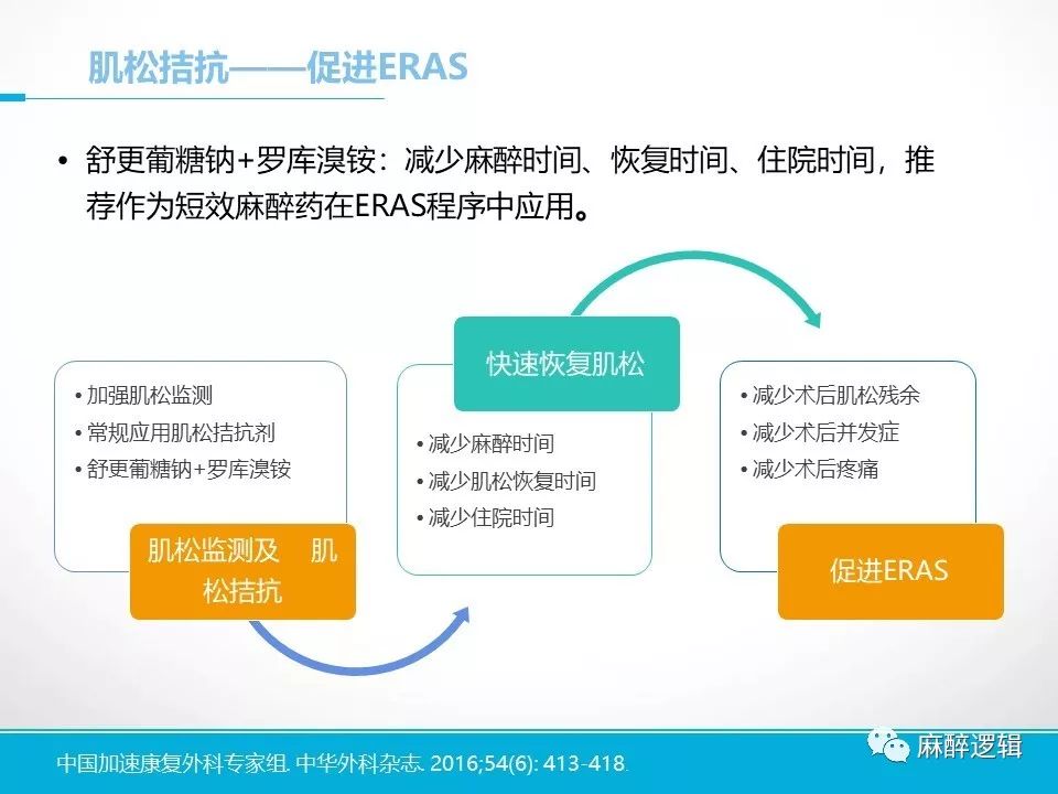 乙酰膽鹼,膽鹼酯酶 羅庫溴銨 膽鹼酯酶抑制劑,舒更葡糖鈉 它們演繹著