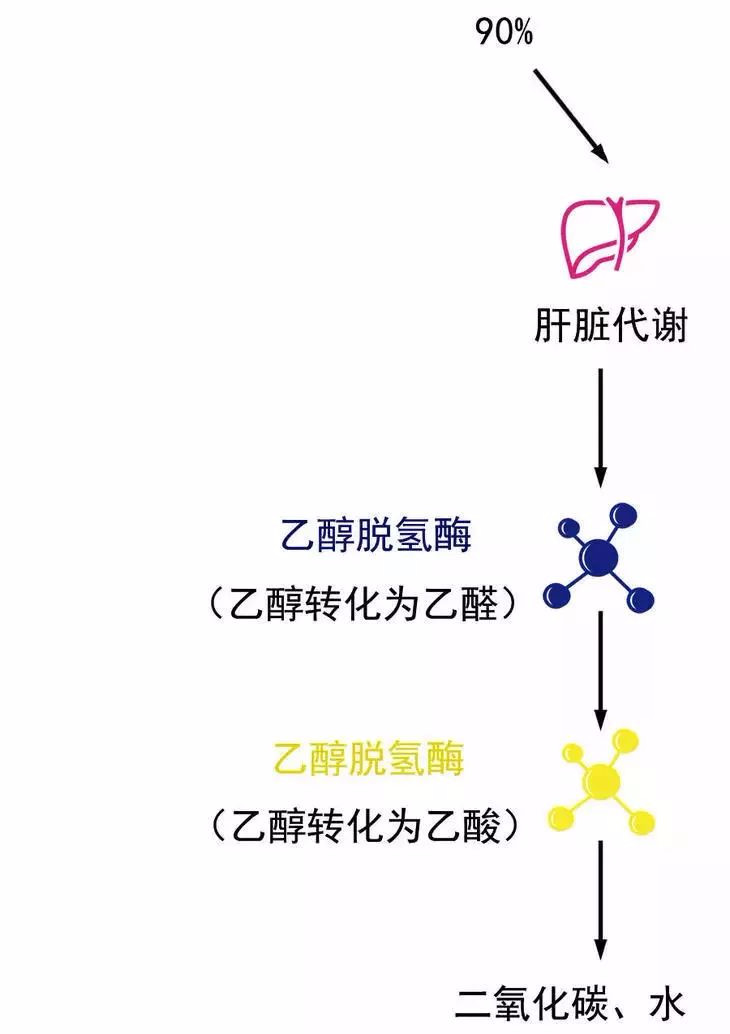 乙醛对许多组织和器官都有毒性,可能造成dna损伤,也被认为是致癌物质.