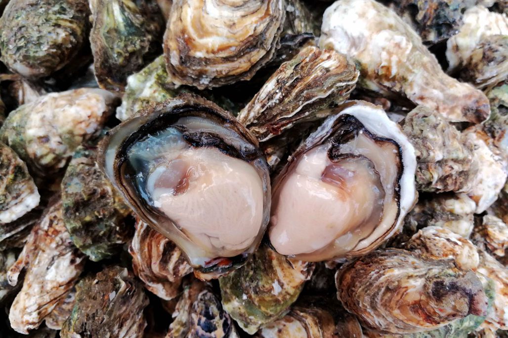 天气不好菜市场海鲜稀少贝类海鲜顶缺海蛎子肥