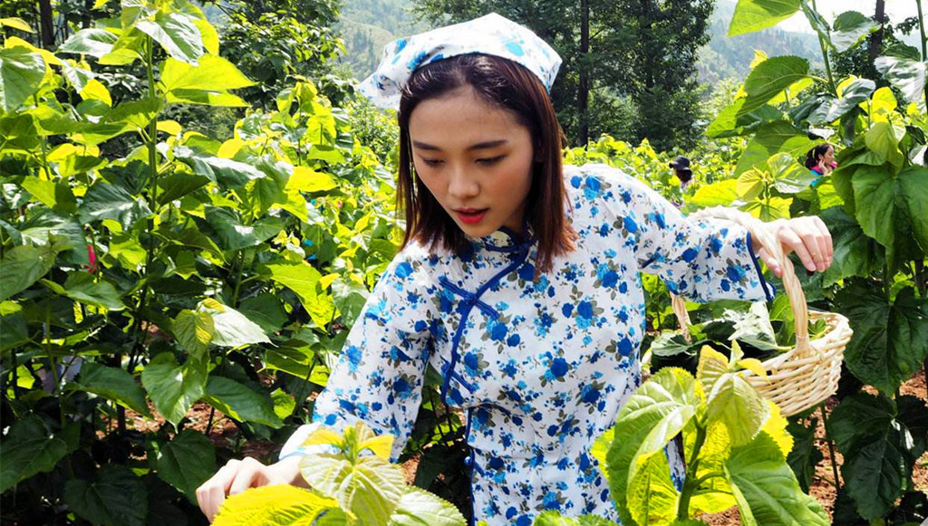 村里的姑娘巧儿,嫁给木匠王猛后,经常以泪洗面,原因邻居们都知道的