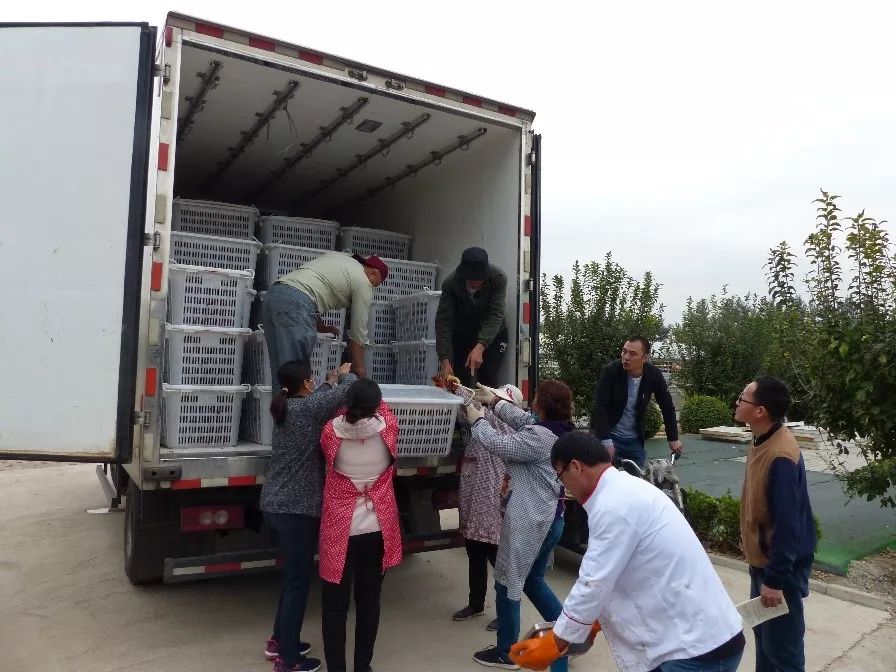 一车车鲜活的小龙虾分拣后被装上车,发往北京京城老鱼基地.