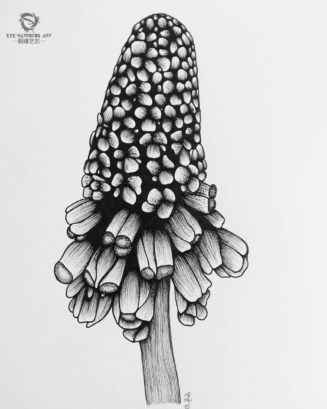 用线条作画只需一支描线笔便可完成的绝美作品