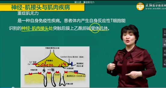 解析:根據題意可診斷為重症肌無力,其發病機制與神經肌肉接頭突觸後膜