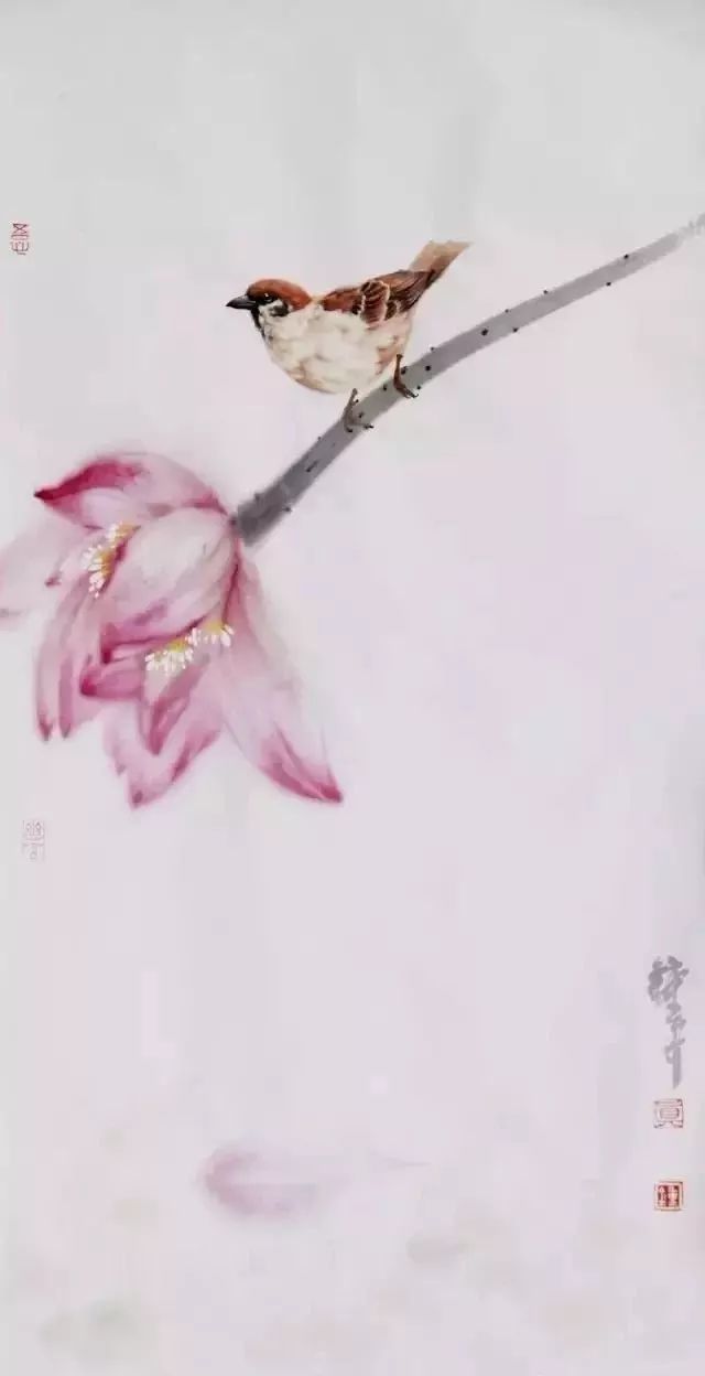 钟真水墨荷花小鸟绝美收藏了