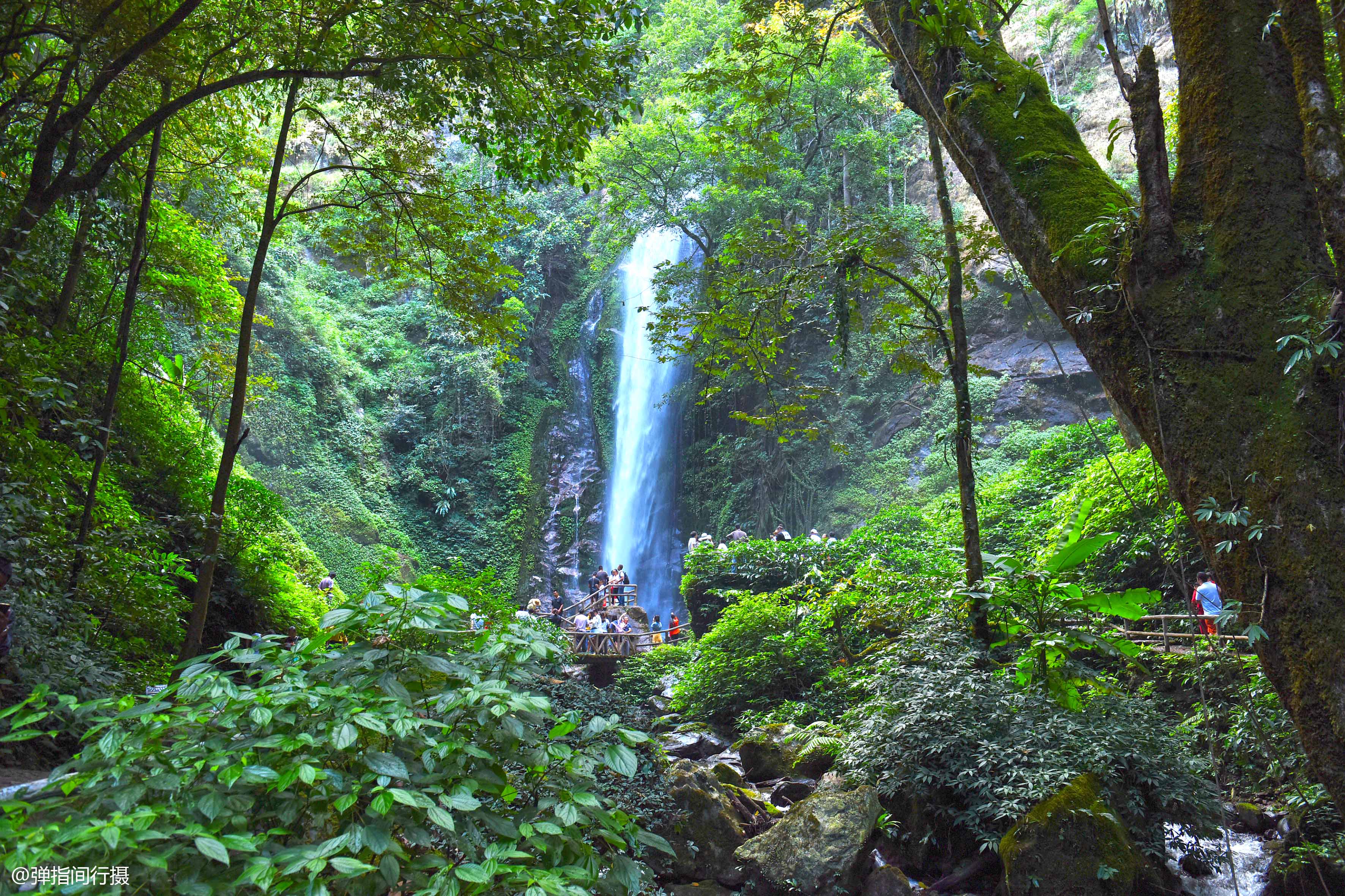 莫里热带雨林景区图片