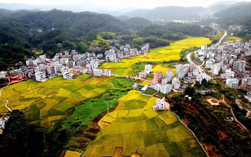 藤县将举办国际活动"第五届中国-东盟武术节".