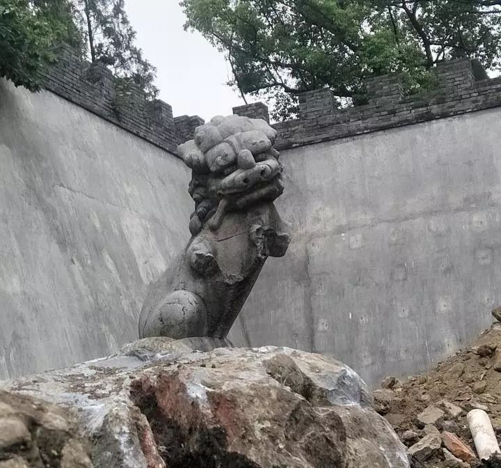 嘉兴子城公狮子目光所向 发掘出母狮子_石狮