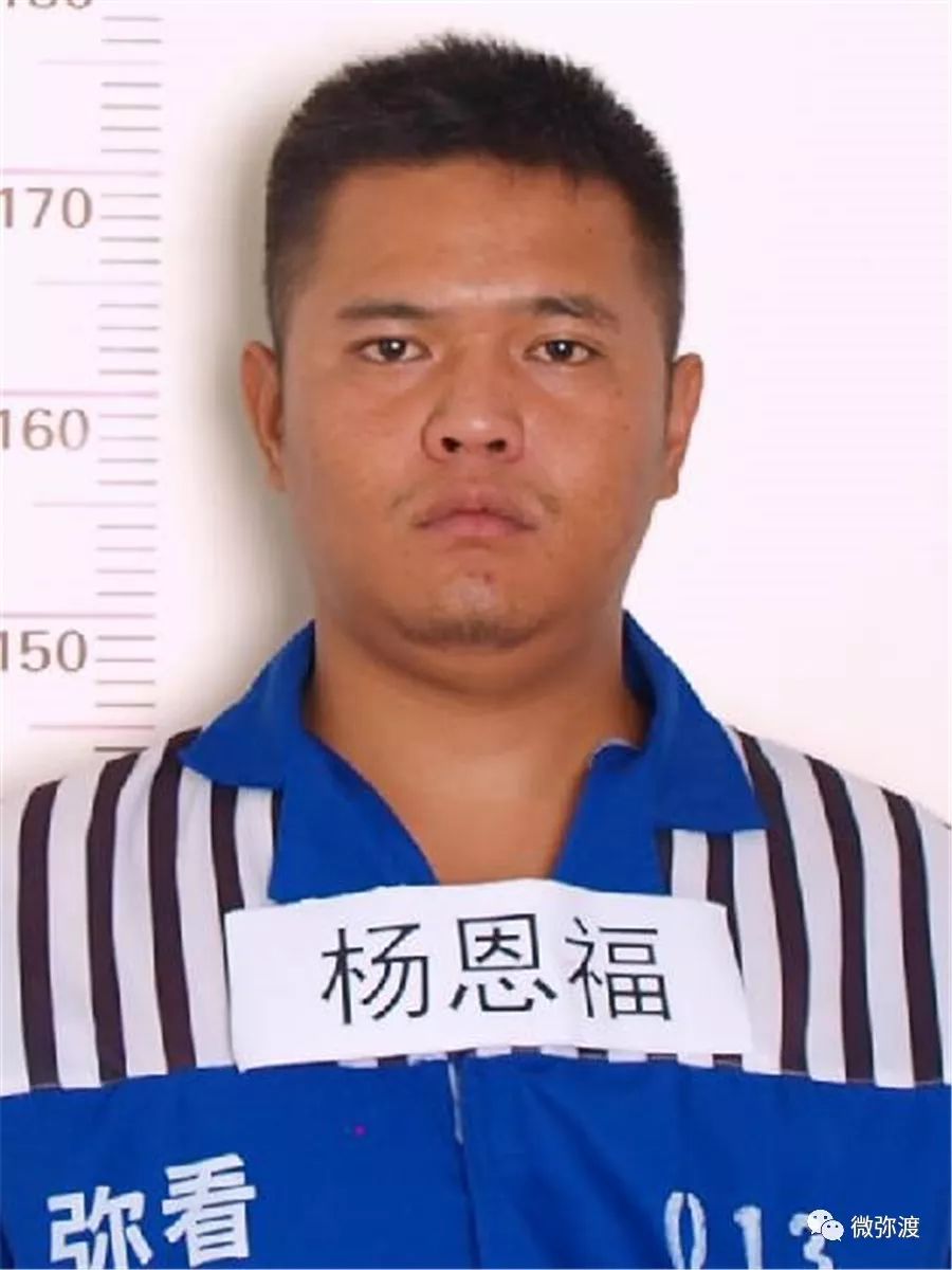 弥渡县公安局关于征集张平涉恶犯罪团伙违法犯罪线索的通告