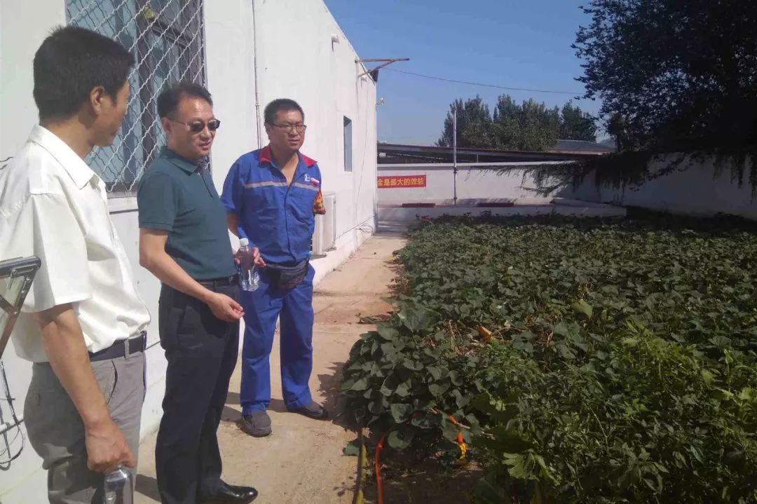 继卢龙片区之后,王耀洲书记重点调研了昌黎片区施各庄加油站和五里营