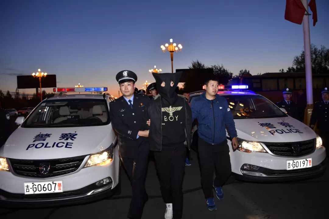 哈尔滨新闻头条今日新闻最新（哈尔滨新闻头条今日新闻）