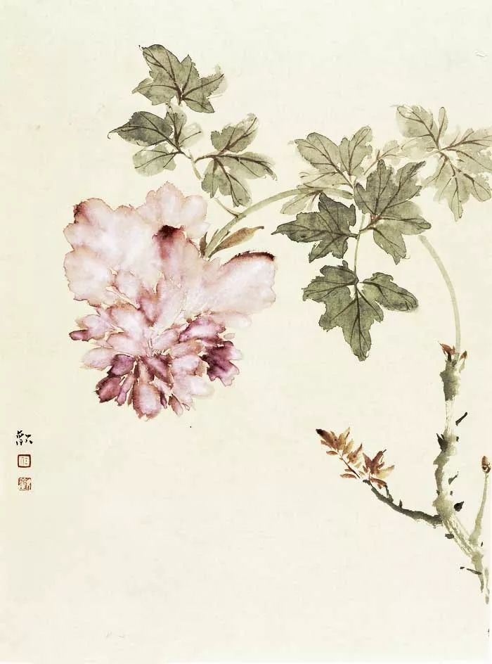 通透清雅|任欢和她的小写意没骨花鸟画