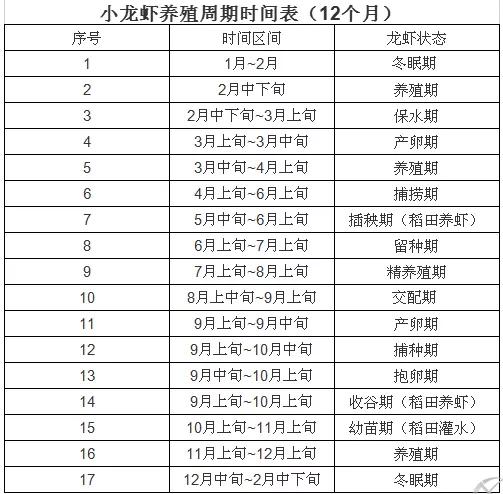 有些人认为龙虾在臭水沟也能很好的生长,其实并非好坏水都能养,清新