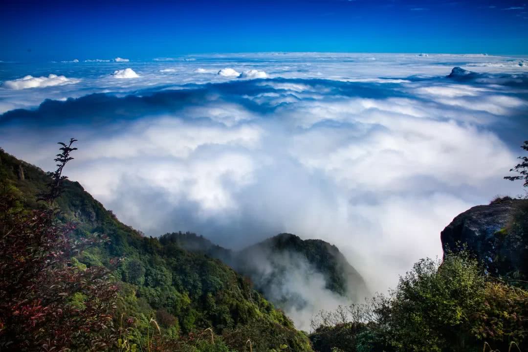 青城山云海图片