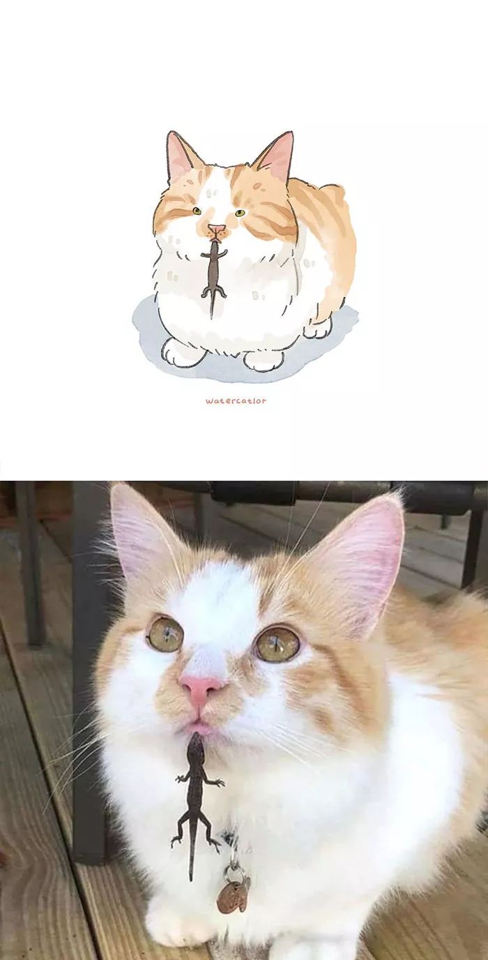 画家将网红猫画成了水彩画，让它们看起来更有趣了