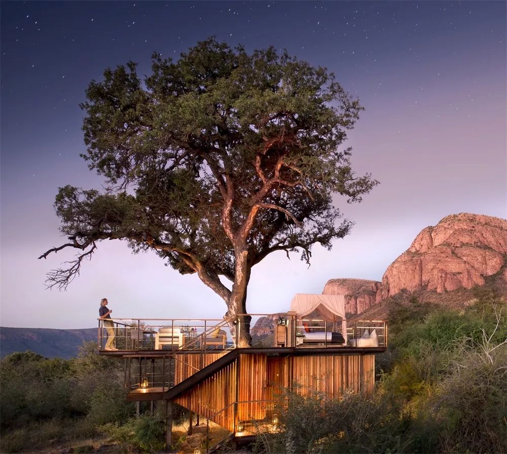 看世界酒店趣味树屋带你体验住在树上的浪漫