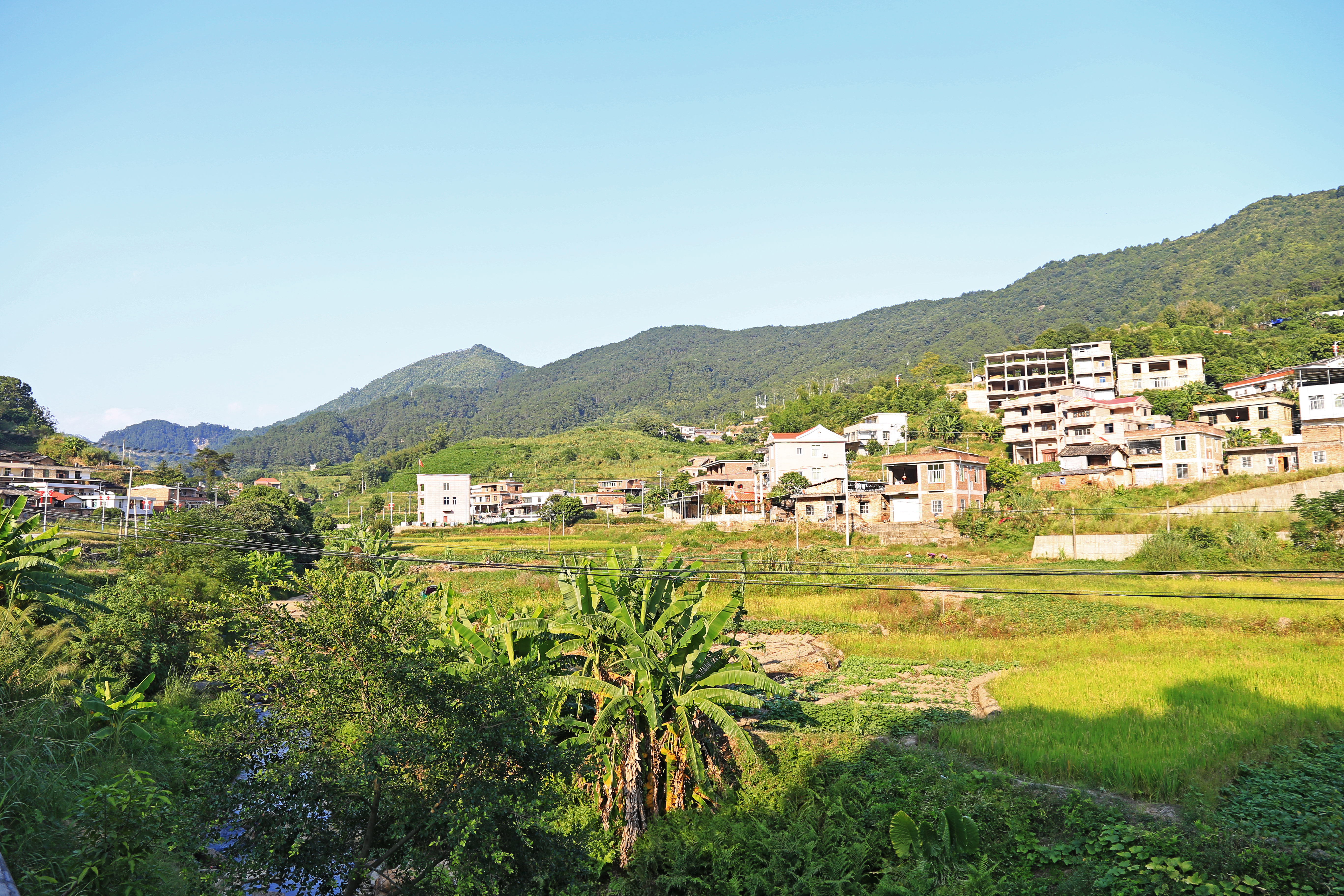 魅力乡村安溪县尚卿乡灶坑村